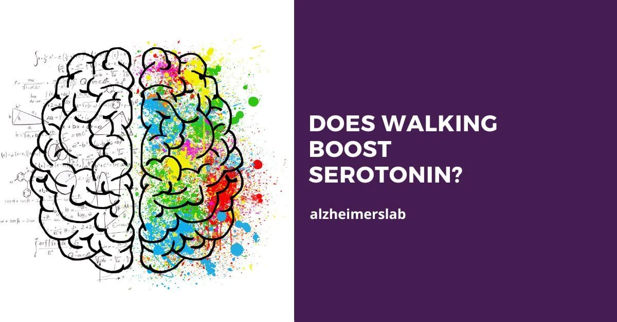 Does Walking Boost Serotonin?