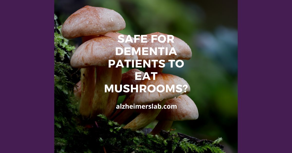 Is It Safe for Dementia Patients to Eat Mushrooms?