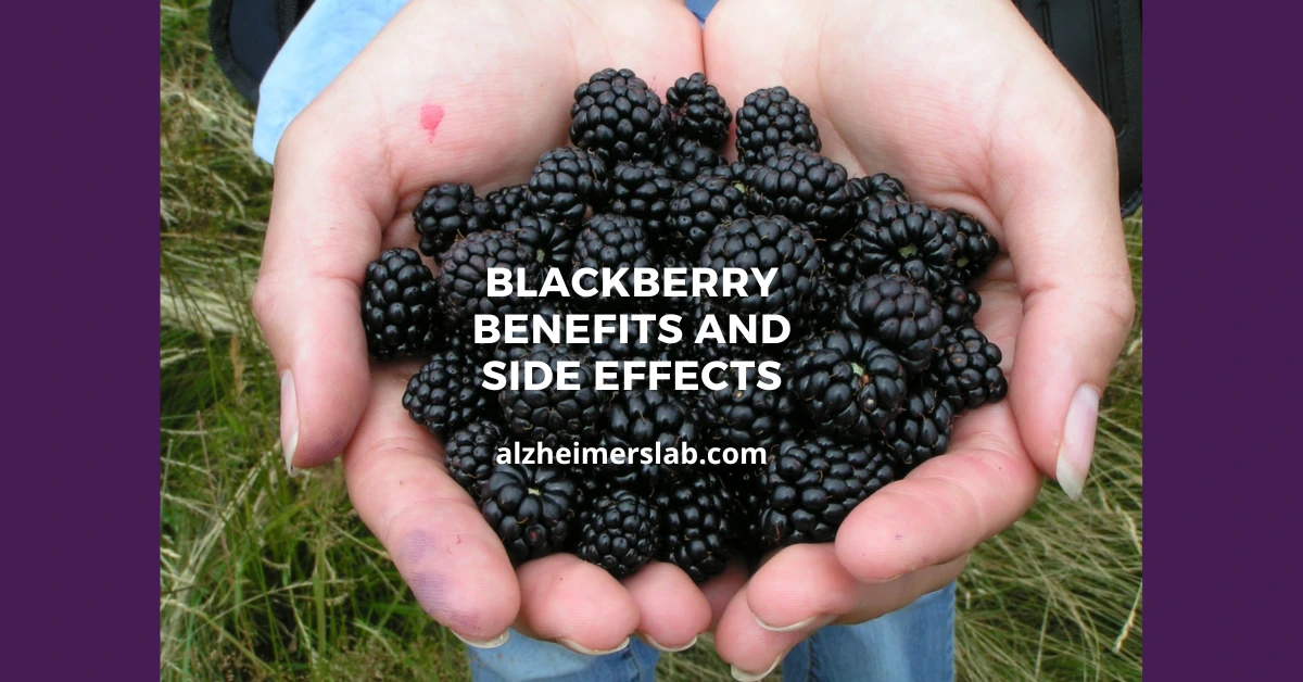 Blackberry Benefits and Side Effects
