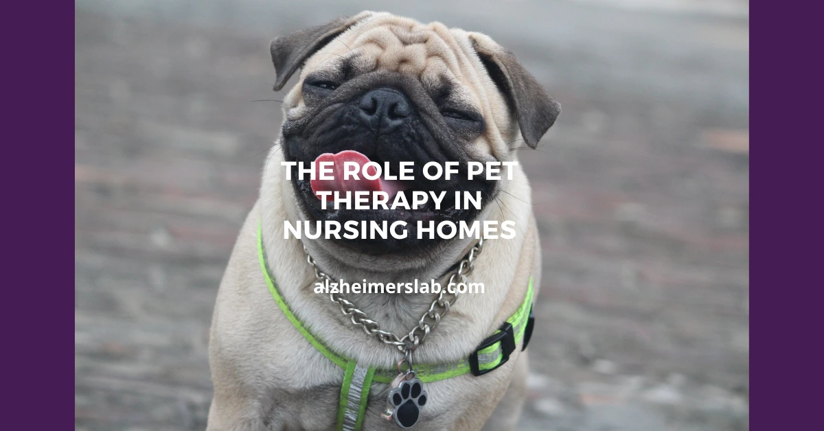 The Role of Pet Therapy in Nursing Homes AlzheimersLab