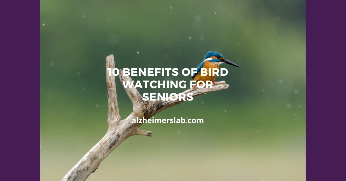 10 Benefits of Bird Watching for Seniors
