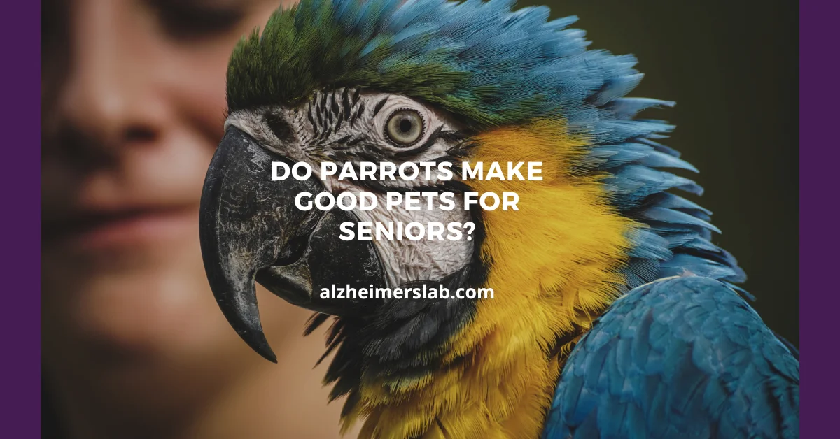 Do Parrots Make Good Pets for Seniors?