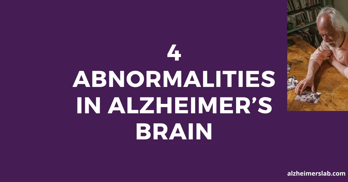 4 Abnormalities in Alzheimer’s Brain