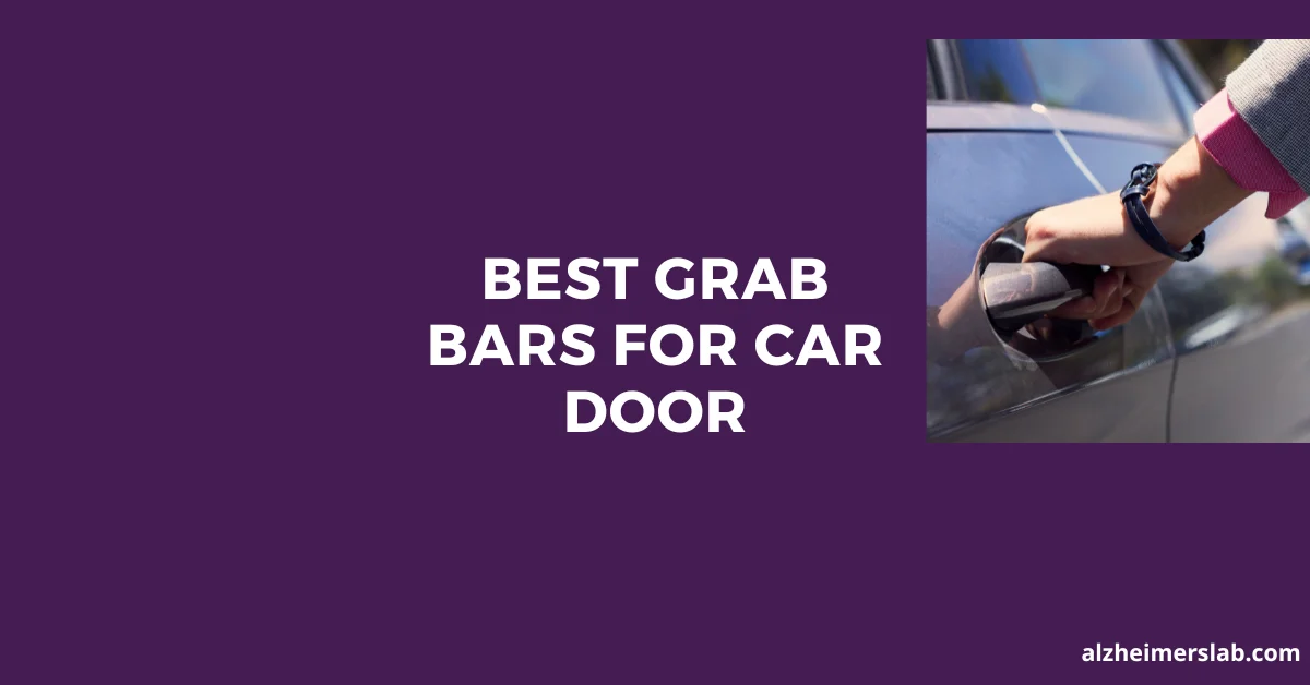Best Grab Bars For Car Door
